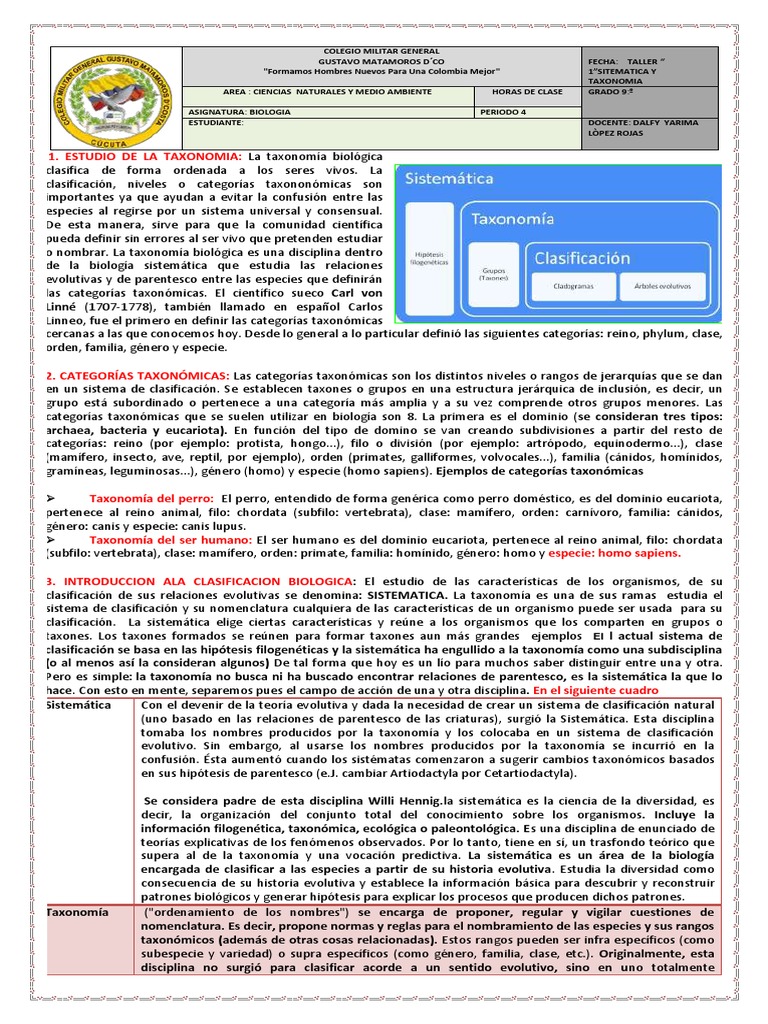 orden ambien genérico